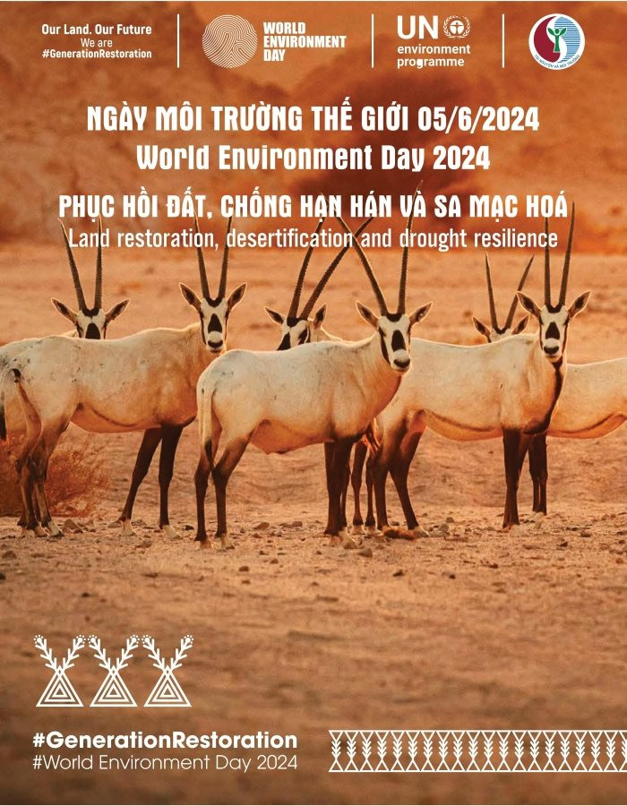 Hưởng ứng Ngày Môi trường thế giới và Tháng hành động vì môi trường năm 2024